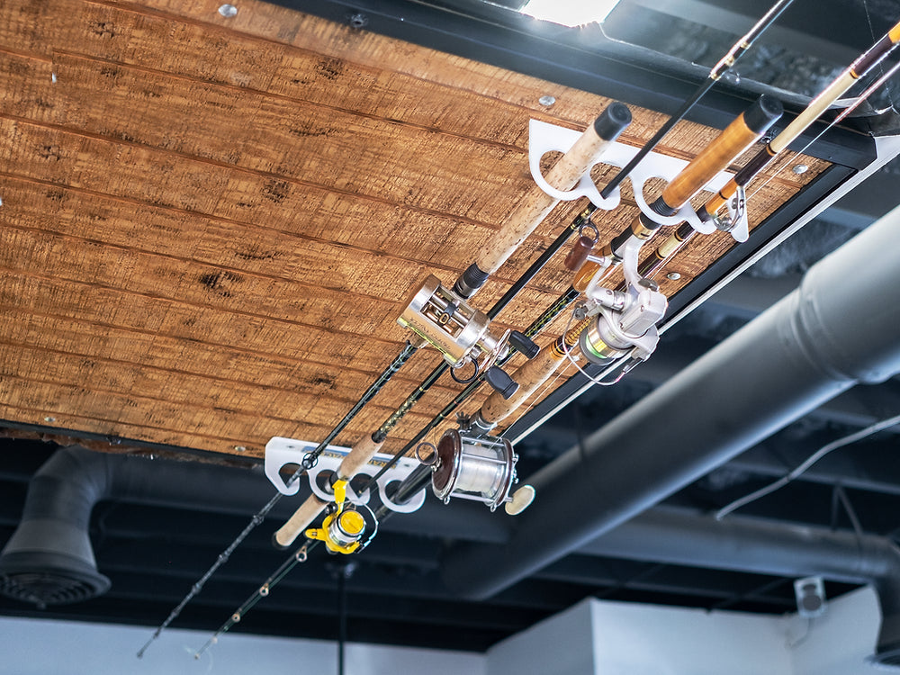 Piranha Small Ceiling and Vertical Wall Mount